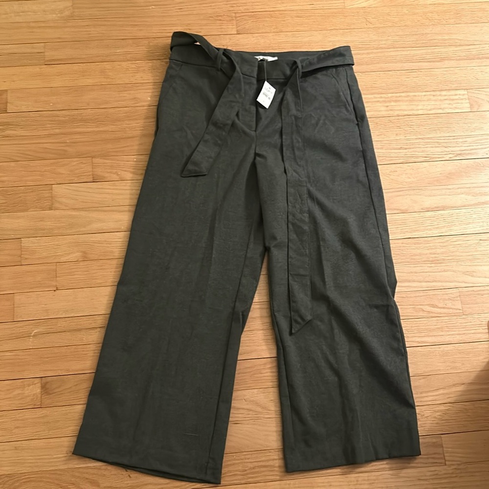 NWT LOFT Perfect Workpant
